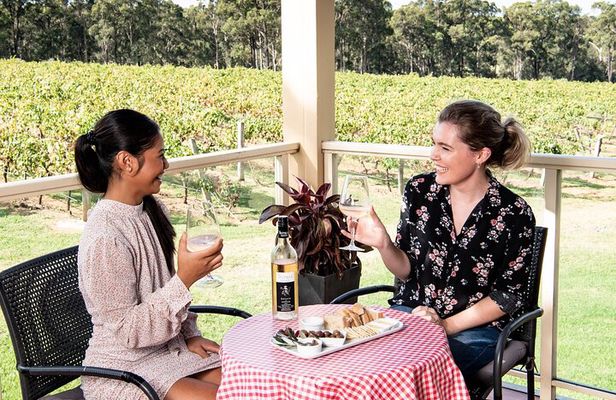 Tintilla Estate: Wine Tasting with a Meat and Cheese Platter