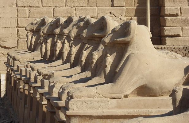 How To See Everything In 2 Days From Cairo To Luxor -Aswan -Abu Simbel By Plane