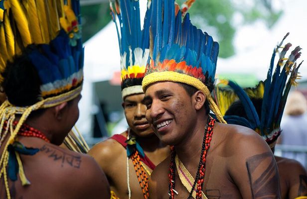 Itaguare Beach Private Tour with Indigenous Village from Santos