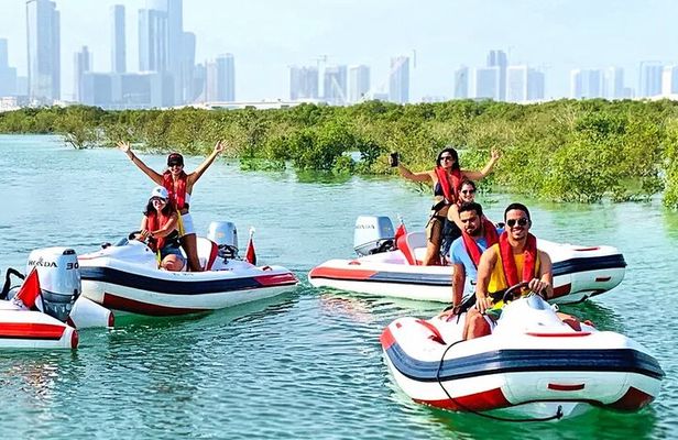 Small-Group Self-Drive Speedboat Tour in Yas Island Mangroves