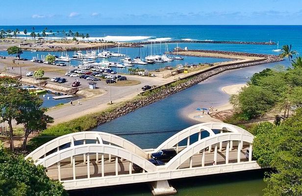 Shuttle from Waikiki to Oahu's North Shore