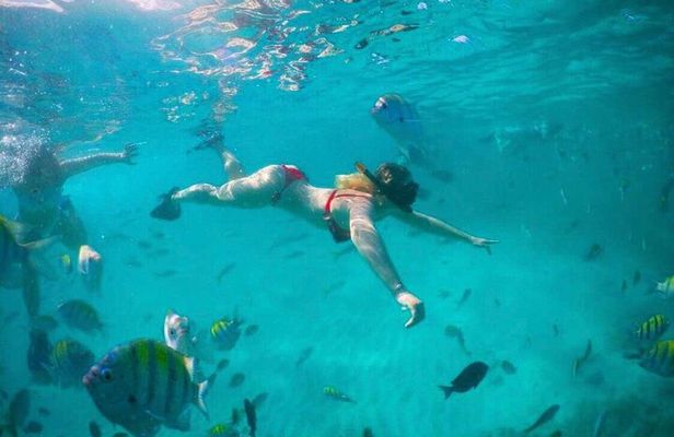 Enjoy Punta Cana in Private Yacht