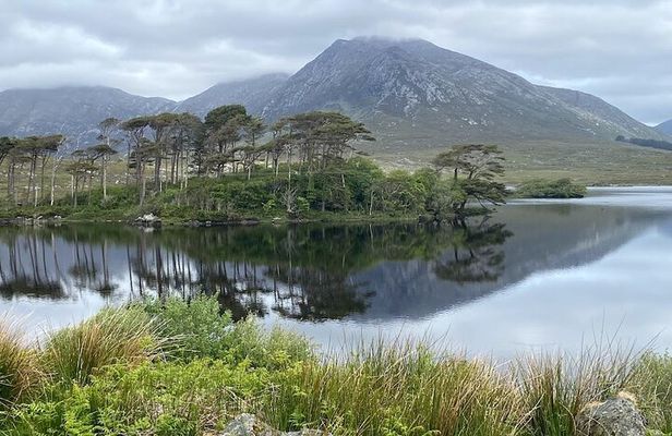 From Galway: Connemara, Kylemore Abbey & Castles 1 Day Tour
