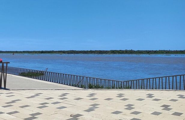Gran Malecón, Carnaval Museum and Downtown Barranquilla City Tour