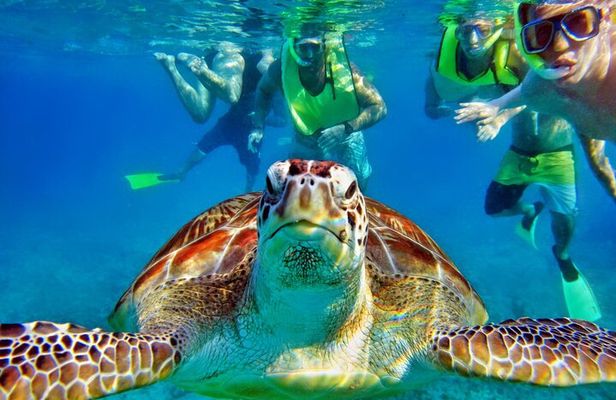 Tulum Mayan Ruins and Snorkeling with Turtles at Akumal