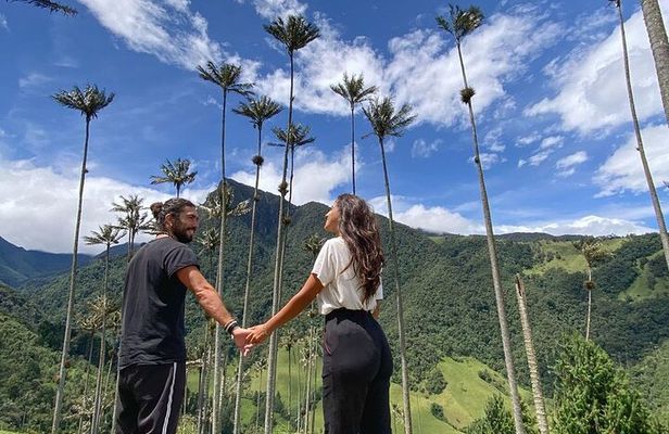 Cocora Valley Tour and Santa Rita Waterfall