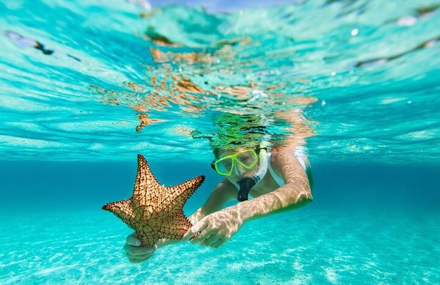 All Day Snorkel Package with Wetsuit Rental