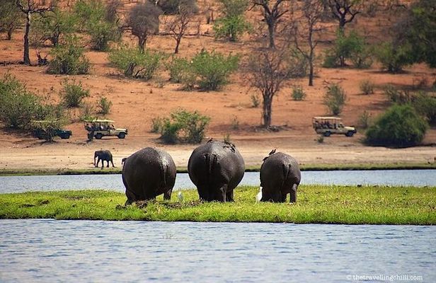 Livingstone to South Luangua National Park package