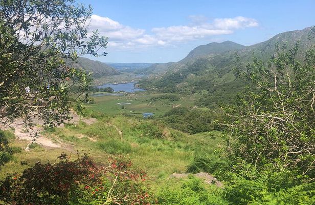 Private Guided Tour of Ireland 