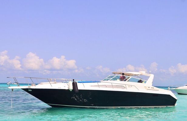 Private Yacht 46ft Sea Ray Snorkel up to 15 pax 23P2