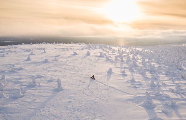 3-hour snowmobile adventure in Levi