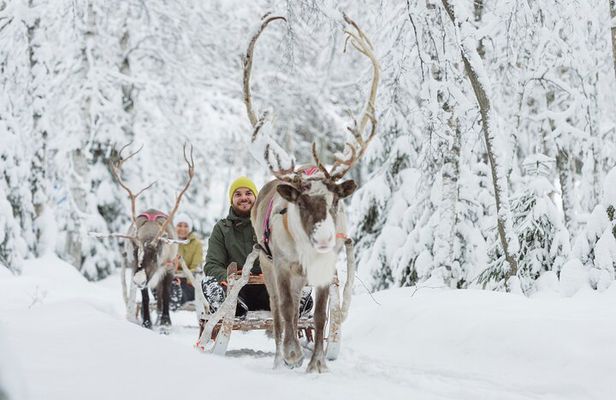 Winter Highlights by Minivan in Levi