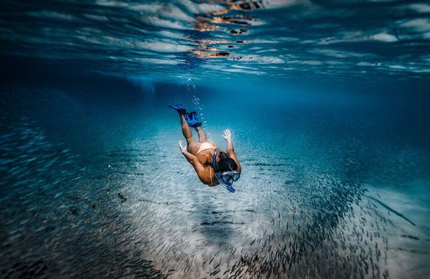 Private Guided Snorkeling in Cabo San Lucas