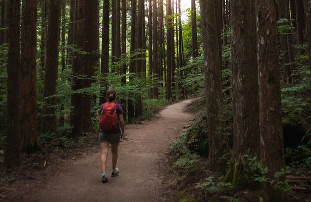 Nakasendo Magome to Tsumago Day Hike with Licensed Guide