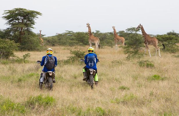 4 days incredible wildlife off-road motorbike tour in Soysambu Conservancy