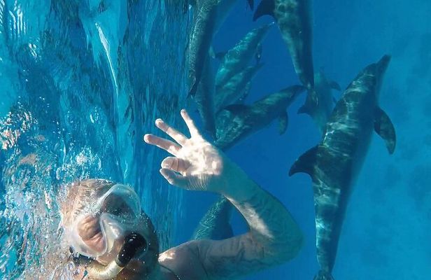 PADI Open Water Diver Course in Hurghada