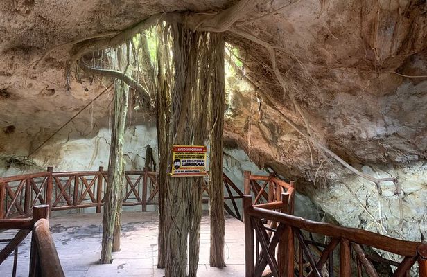 Cenote Adventure Tour