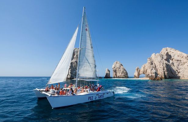 Catamaran Snorkel at Los Cabos! Gorgeous Snorkel & Party + Round Transportation 