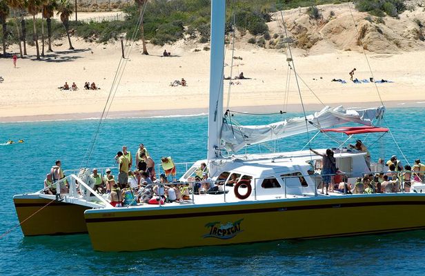 Wine & Jazz at Sunset Cruise! Round Transportation From Los Cabos