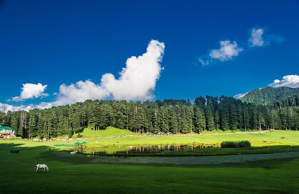 Himachal Tour Package
