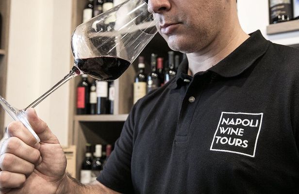 Private Evening Campania Felix Wine Tasting Evening in Naples