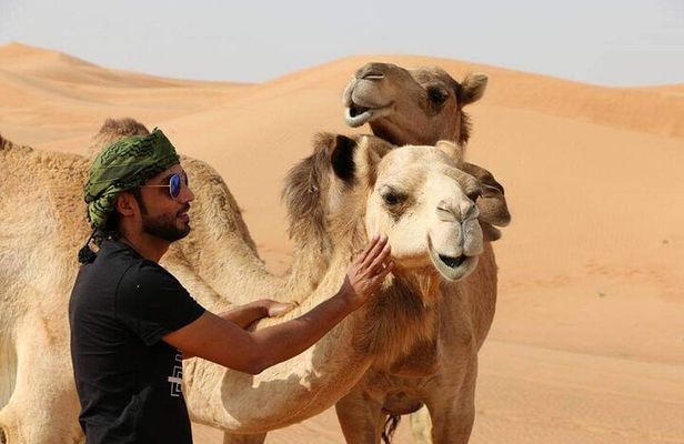  Desert Safari Dubai ,VIP Sitting, Live BBQ & Camel Ride