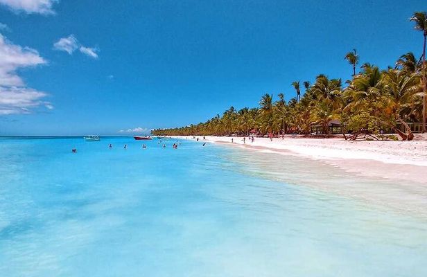 Full-Day Tour to Saona Island from Bayahibe with Lunch
