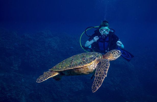 Discover Scuba Diving Class from Lahaina