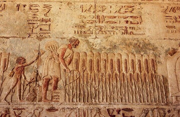 Private Day Tour to El Minya Egypt