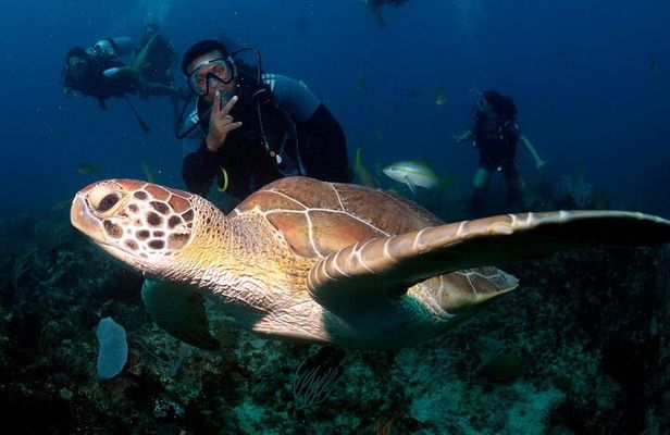 Learn to Scuba Dive in Punta Cana