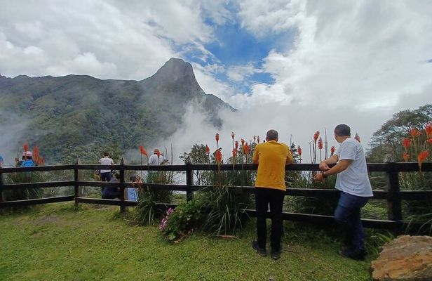 Tour Cocora Valley hummingbird circuit
