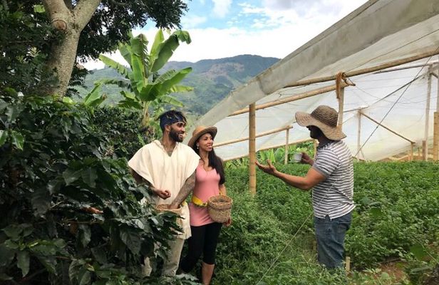 Private Tour to Jardín Town, Waterfalls, Coffee & Culture!