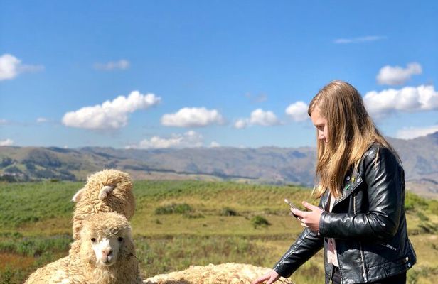 Half day Acclimatization Hike with Llamas and Alpacas in Cusco