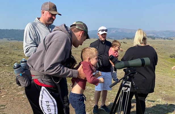 Yellowstone Full-Day Upper Loop with Wildlife Adventure w/Lunch