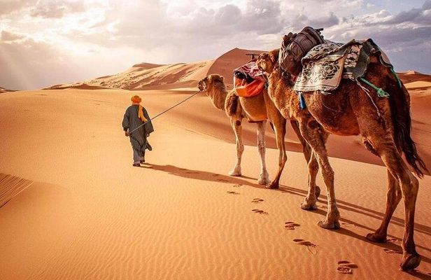 Morocco Desert Tour Private 4-Days from Marrakech to Merzouga