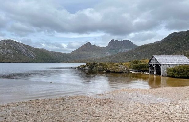 Cradle Mountain National Park Day Tour from Launceston