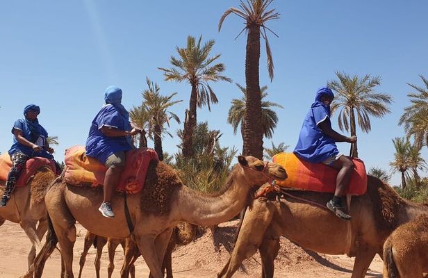 Adventure Quad Biks & Camel Ride