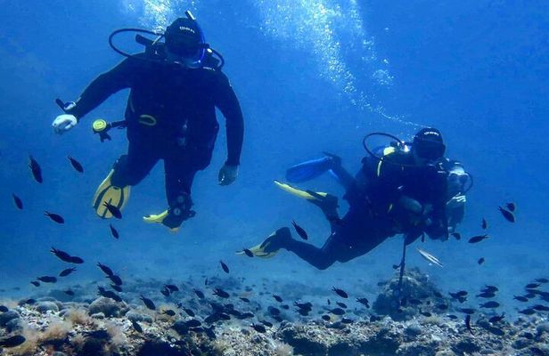 Try Scuba Diving in Split: Small-Group Experience for Beginners