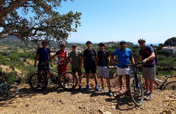 Guided Cycle Tourism Wine Tour by E-Bike on the Island of Elba "Arrighi"
