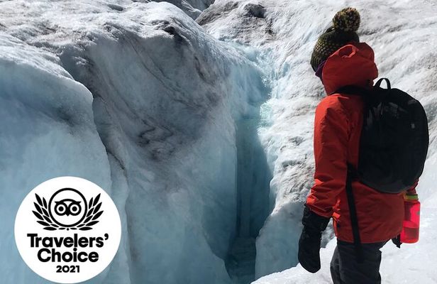 Guided Glacier Hike on The Athabasca with IceWalks