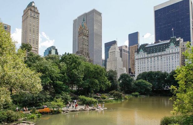 Central Park and 5th Avenue Walking Tour