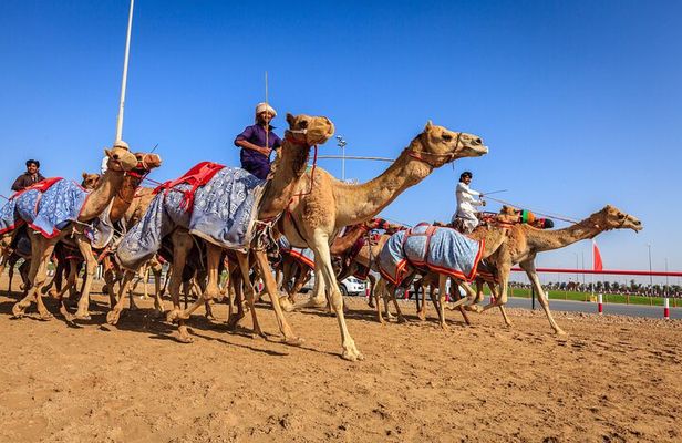 Al Ain Tour from Abu Dhabi