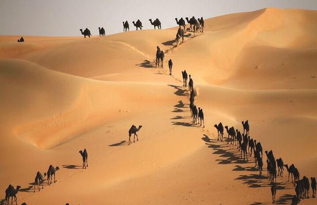 Full Day LIWA 4x4 Safari With Lunch Included From Abu Dhabi