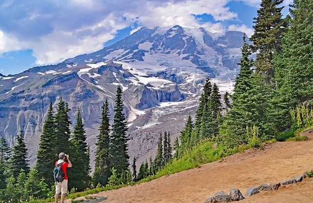 Full-Day Mt Rainier National Park Private Tour in SUV