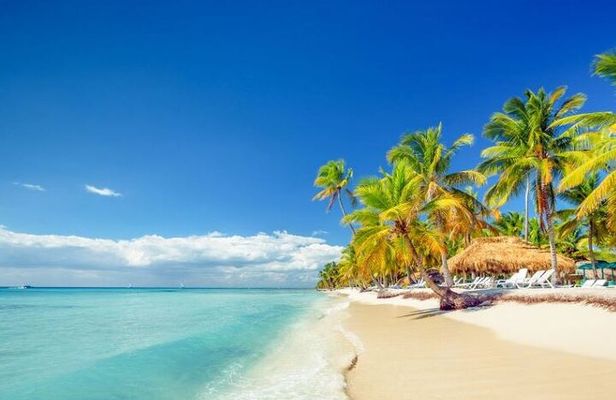 Saona Island Full-Day Excursion