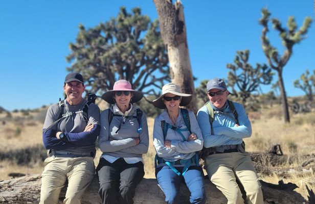Full Day Hike in Joshua Tree National Park