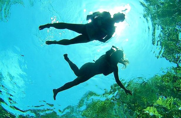VIP Cenotes Private Tour (half-day)