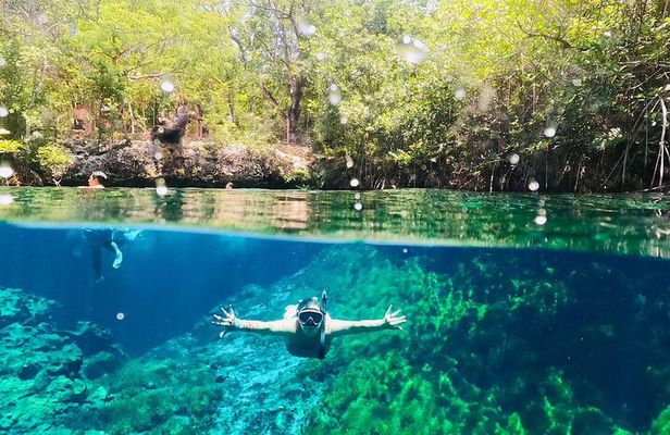 VIP Cenotes, ATVs & Ziplines Private Tour