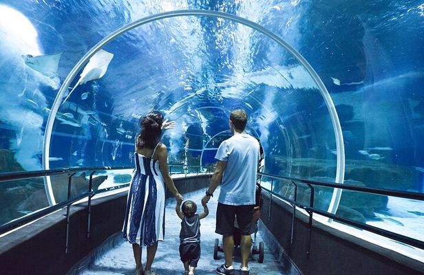 AquaRio, Museum, Boulevard Olimpico, Ferris Wheel, Transport and Tourism Guide.
