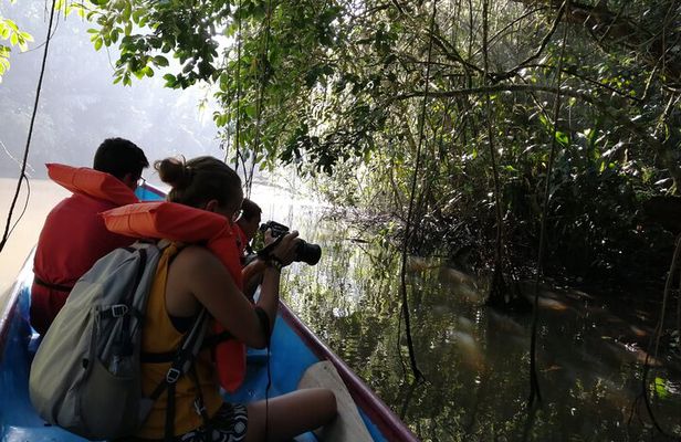 Tortuguero National Park Canal Tour with Canoe